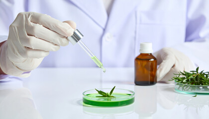 Hand wearing white gloves holds dropper above glass petri dish with green liquid and plant leaves, with brown bottle and laboratory coat visible, evoking scientific curiosity