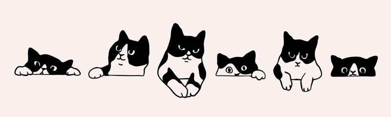 Black and white cat peeking, looking out. Funny characters set. Cute emotional domestic animal. Hiding, hunting, playing, sitting, lying concept. Hand drawn Vector illustration. Isolated elements