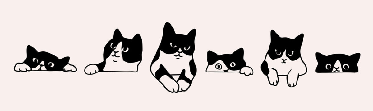 Black and white cat peeking, looking out. Funny characters set. Cute emotional domestic animal. Hiding, hunting, playing, sitting, lying concept. Hand drawn Vector illustration. Isolated elements
