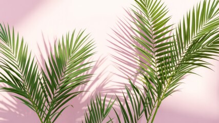 Palm fronds cast intricate shadows on a smooth pastel backdrop, creating a peaceful, natural, and minimalist presentation