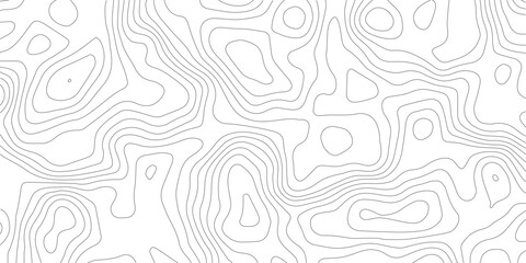 Topography background. Vector banner. Topography map background. Vector geographic contour map. Background of the topographic map. Topographic map lines, contour background. 