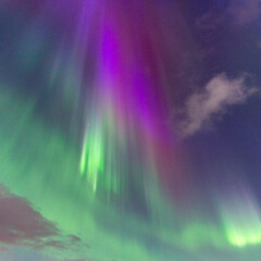 Northern lights on the sky, heavenly aurora borealis in green, purple and red over oure head!...
