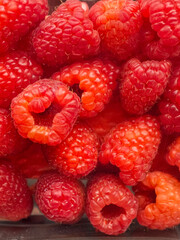 Fresh raspberries collected from local farm market ready for culinary use in summer recipes