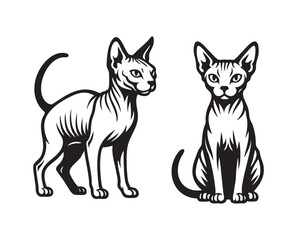 Black and white vector illustration of two Donskoy hairless cats in standing and sitting poses. Minimalist style, perfect for tattoos, prints, or logos. Animal.