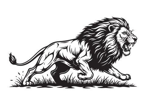 Powerful black and white vector illustration of a roaring lion in mid-run with sharp mane and muscles. Perfect for logos, prints, and fierce designs. Wildlife Animals.