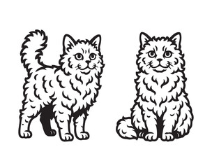 Fototapeta premium Black and white vector of two Selkirk Rex cats, one sitting and one standing, showcasing curly fur and calm expressions. Perfect for pet and breed artwork. Animal.