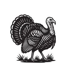 Bold black and white vector of a proud turkey standing on grass with fanned tail and detailed feathers. Perfect for farm, holiday, or wildlife-themed designs. Animal.