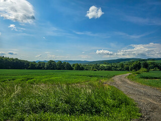 Mountain Majesty Breath of Endless Peaks