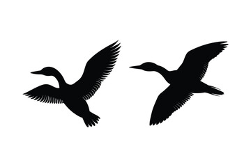 Obraz premium Loon silhouette vector illustration, Set of Loon silhouette