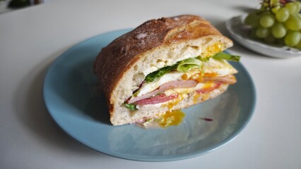 Fresh sandwich with egg, greens, onion and tomato served on a blue plate with a side of grapes. Concept of homemade comfort food, freshness and healthy eating