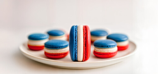 Plate with Decorated Macarons with One Macaron Resembling  French Flag on White Empty Background with Mock Up Space