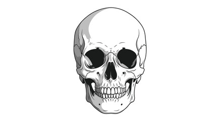 Obraz premium Detailed Anatomical Human Skull Illustration Showcasing Intricate Features and Textures