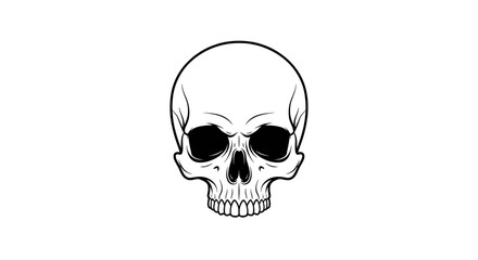 Fototapeta premium Intricately Detailed Black and White Illustration of a Human Skull Isolated on White Background