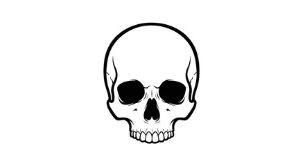 Detailed Skull Illustration Representing Various Angles And Features Isolated On White Background