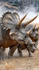 Fototapeta premium Three triceratops grazing in prehistoric landscape with rocky background