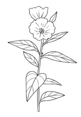 vector drawing of a flower