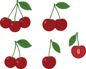 vector illustration of colorful cherries