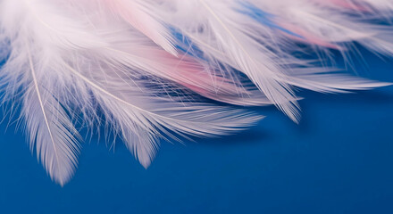 Obraz premium Delicate white feathers with subtle pink hues against a vibrant blue background close up