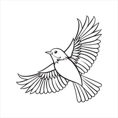 Obraz premium European starling line art silhouette