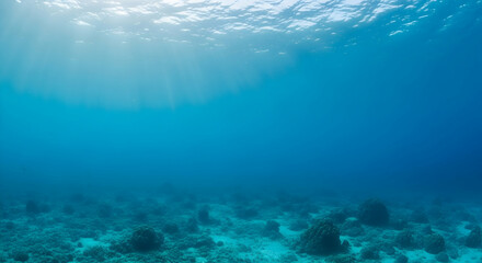 Fototapeta premium Tranquil underwater scene capturing sunlight rays shining through ocean water with rocky seabed