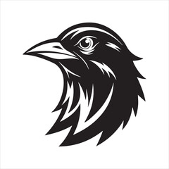 Fototapeta premium European starling line art silhouette