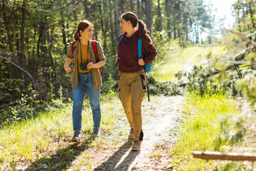 Two friends enjoy a sunny hike through a vibrant, green forest during a beautiful afternoon