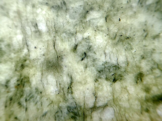 Close-up of a green and white mineral jade stone
