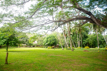 hotel EL MAMEY ubicado en la troncal del caribe, antes de llegar a Mingueo,  saliendo desde Riohacha. un lugar muy agradable para pasar el dia. Mingueo, la guajira, Colombia. junio 3 de 2025