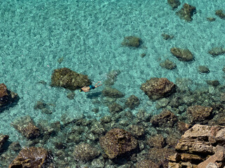 sea turtle on coral reef