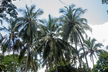 hotel EL MAMEY ubicado en la troncal del caribe, antes de llegar a Mingueo,  saliendo desde Riohacha. un lugar muy agradable para pasar el dia. Mingueo, la guajira, Colombia. junio 3 de 2025