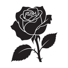 rose vector illustration on white background with single blossom and green leaf