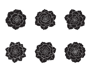 A begonia flower icon with ruffled petals 