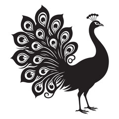 Peacock feather vector illustration with decorative bird art and floral design elements