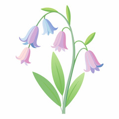 vector illustration of a pink flower