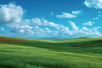 Fototapeta premium Green Field Under a Beautiful Sky And Clouds