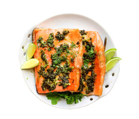 cilantro lime salmon fish filelt
