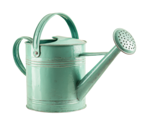 Vintage metal watering can for garden enthusiasts and home decoration