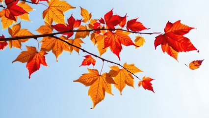 body composed of autumn leaves blowing in wind, natural transformation
