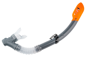 Diver or snorkeling accessory for swimmer in ocean, pool. Size for kids, children, adult, unisex. High Quality Full Dry Snorkel with Silicone Mouthpiece and Purge Valve For Diving. Isolated background