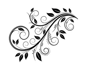 Elegant Black and White Floral Design Element