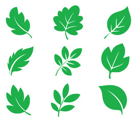 Green leaf vector collection for nature and environmental design