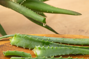 Aloe juice is extracted from a freshly cut aloe vera leaf. The concept of using natural ingredients...
