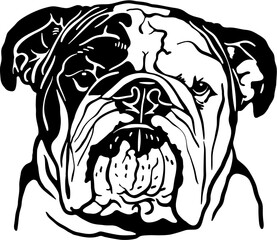American Bulldog, American Bulldog portrait, American Bulldog vector, American Bulldog illustration, American Bulldog head, American Bulldog silhouette, American Bulldog breed image, American Bulldog 