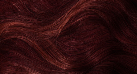 Dark red hair close-up as a background. Women's long brown hair. Beautifully styled wavy shiny curls. Coloring hair with bright shades. Hairdressing procedures, extension.