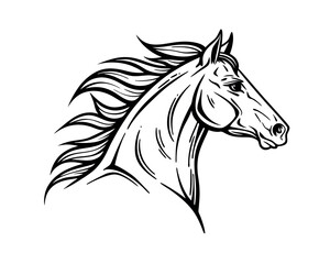 Elegant Black and White Horse Head Profile Illustration