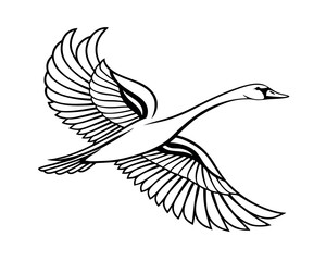 Elegant Black and White Swan in Flight Illustration © Yasin24