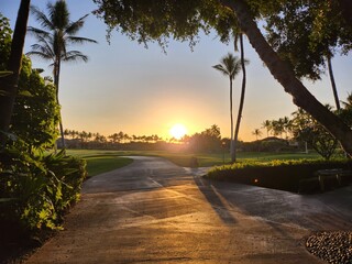 a serene tropical landscape, ocean view, palm trees, lush greenery and distant mountains frame the...