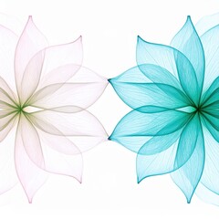 Two translucent floral illustrations delicately touch at their center, creating a symmetrical botanical arrangement against a clean, crisp white background.