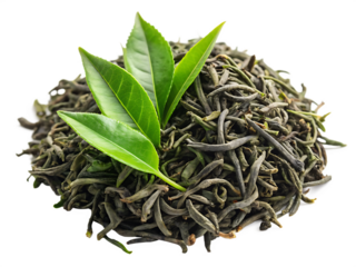 Tea leaves nature isolated on white background , PNG