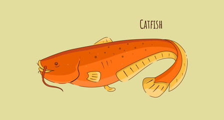 Hand Drawn Catfish Vector Illustration.